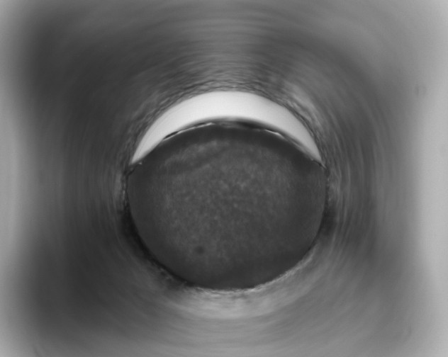 X0000093450029200710261110