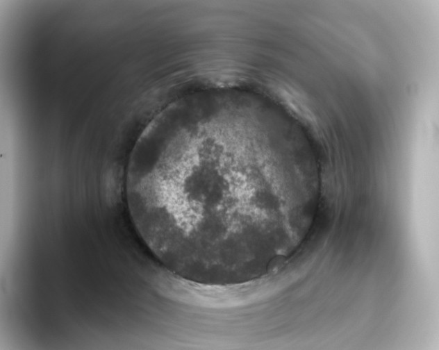 X0000093450030200710261110