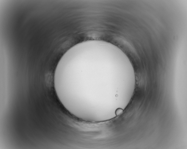 X0000093450036200710261110