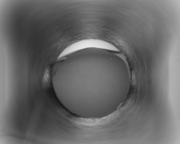 X0000093450037200710261110