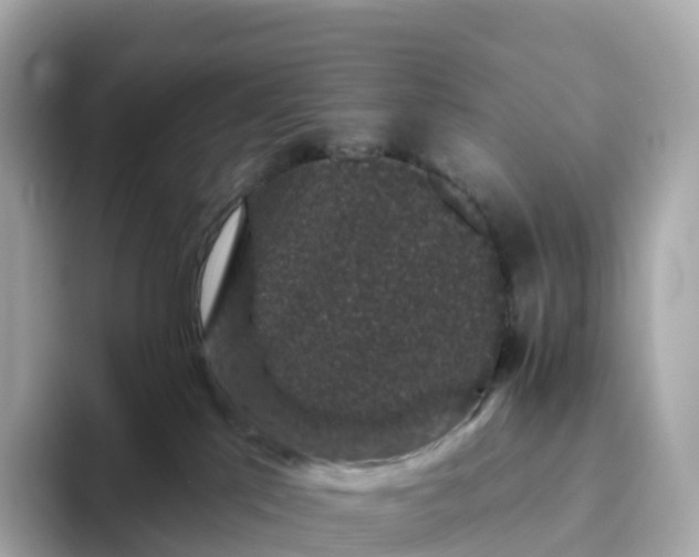 X0000093450041200710261110