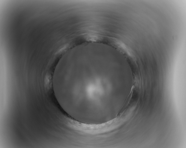 X0000093450043200710261110