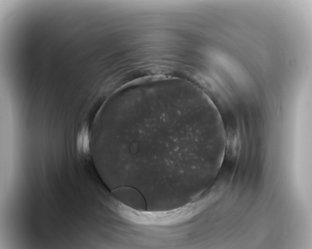 X0000093450046200710261110