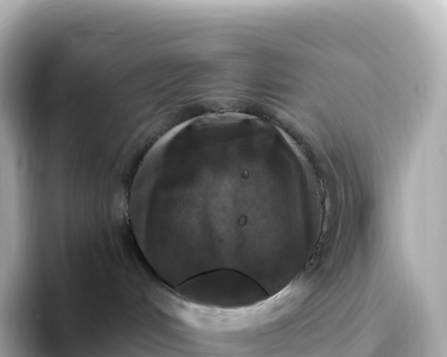 X0000093450048200710261110