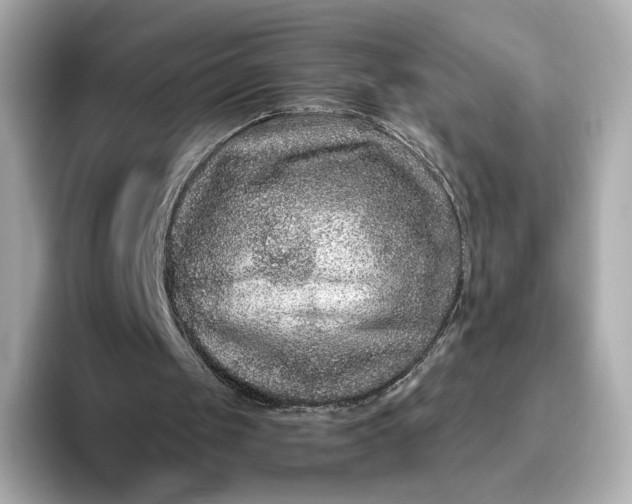 X0000093450049200710261109