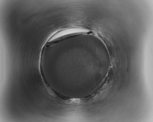 X0000093450052200710261109