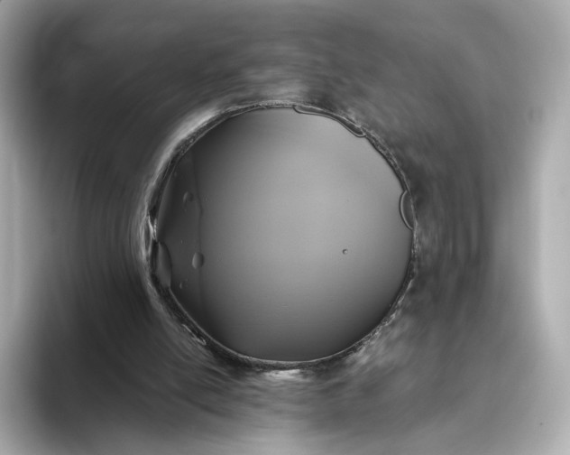 X0000093450054200710261109