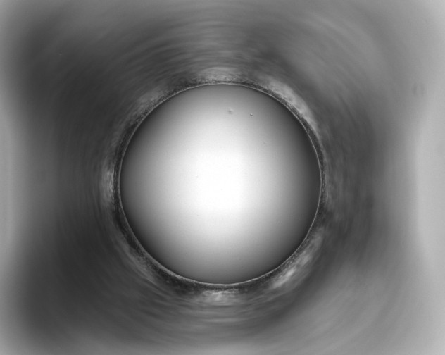 X0000093450057200710261109