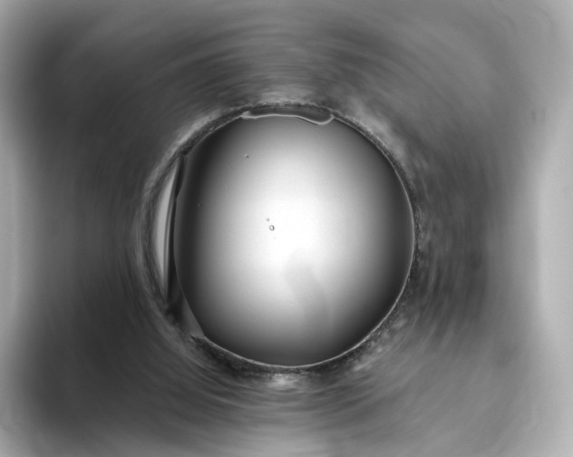 X0000093450060200710261109