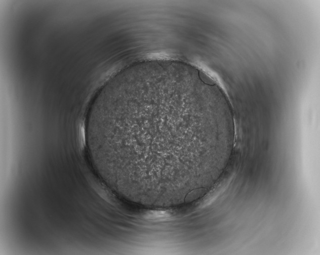 X0000093450061200710261109