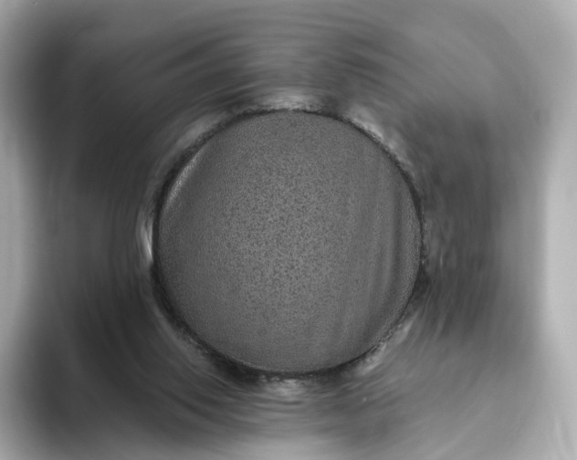 X0000093450062200710261110