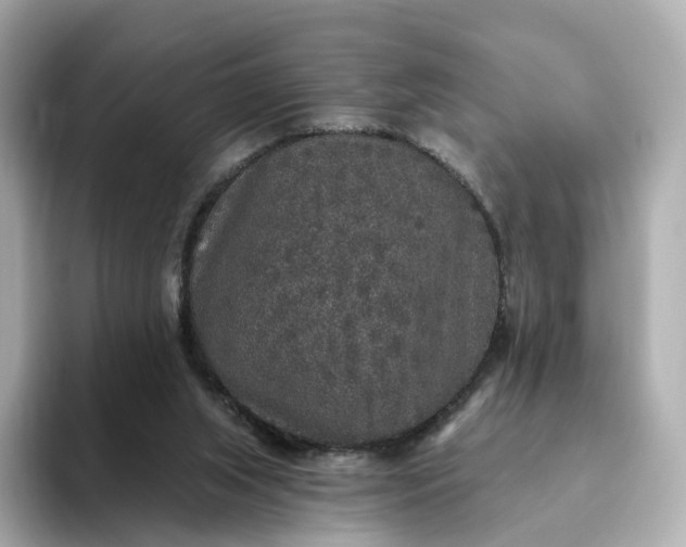 X0000093450063200710261110