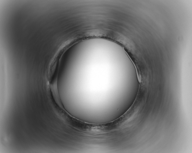 X0000093450064200710261110