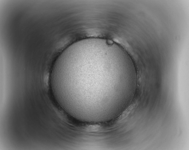 X0000093450066200710261110