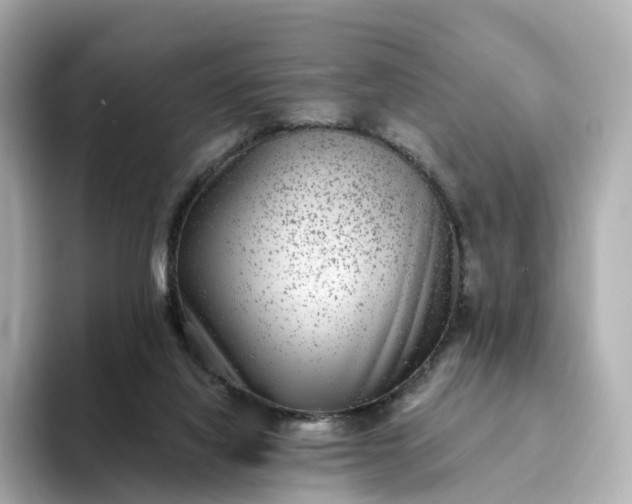 X0000093450068200710261110