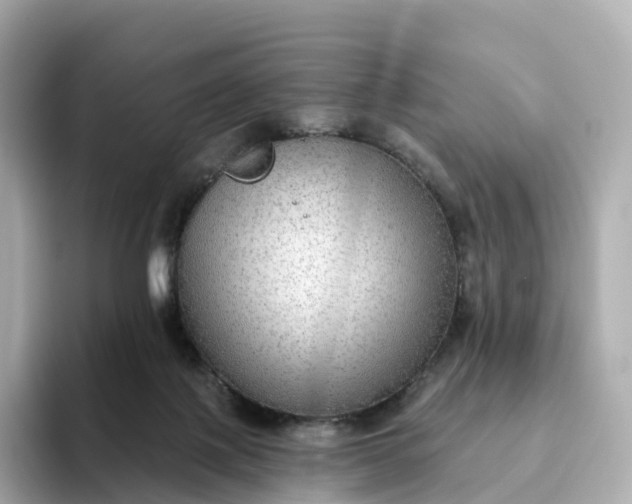 X0000093450075200710261110