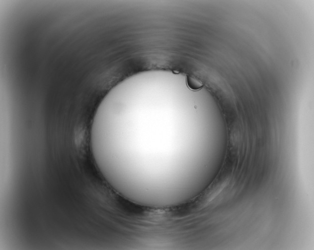 X0000093450079200710261110