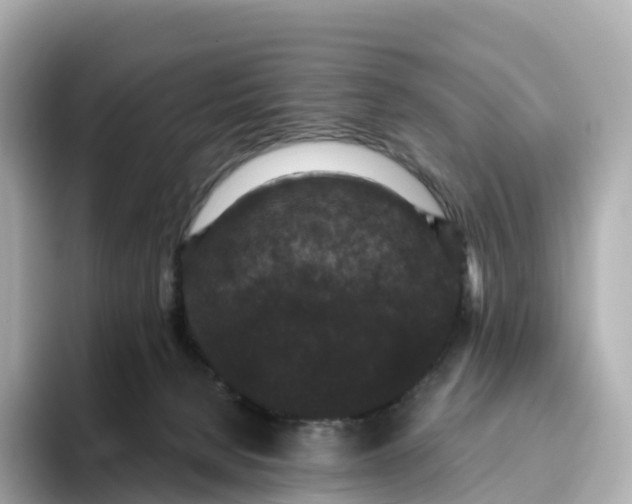 X0000093450080200710261110