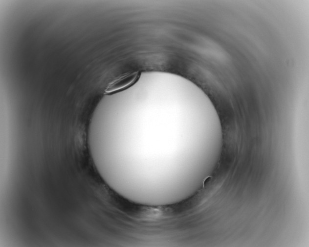 X0000093450083200710261110