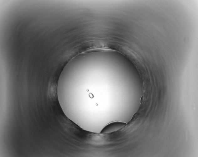 X0000093450096200710261110