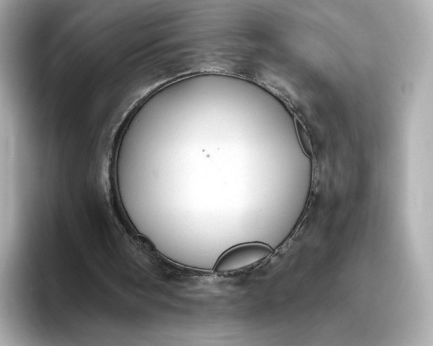 X0000093450098200710261109