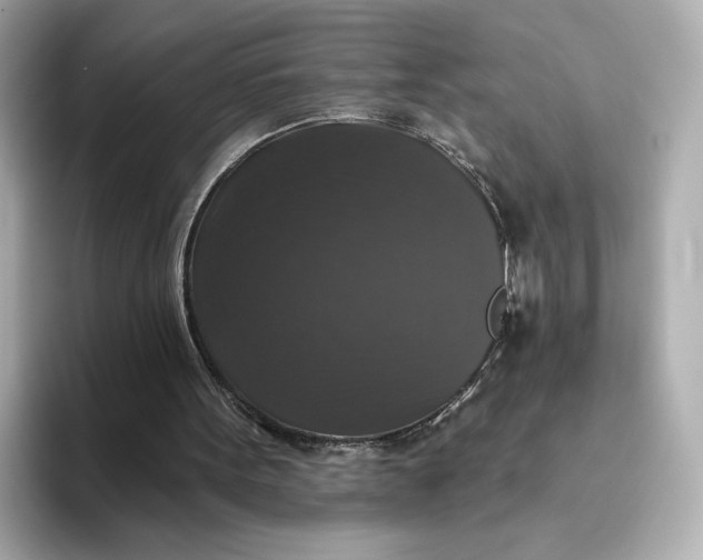 X0000093450099200710261109