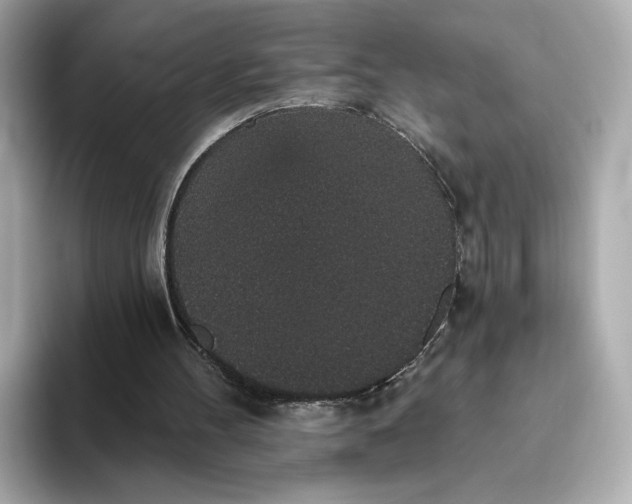 X0000093450100200710261109