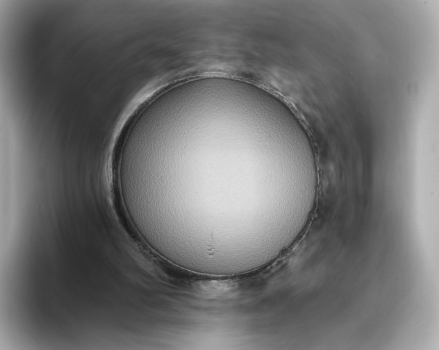 X0000093450102200710261109