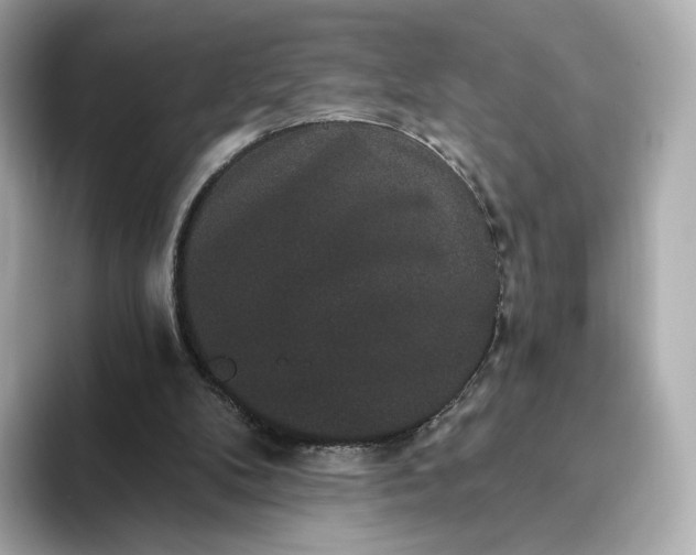 X0000093450104200710261109