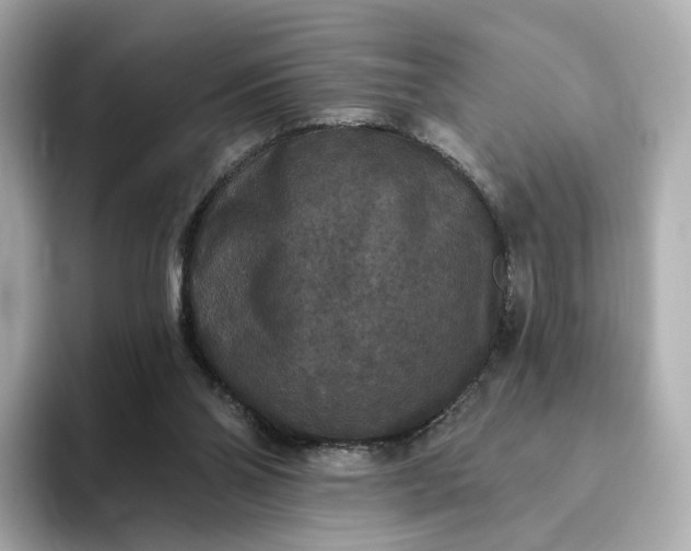 X0000093450110200710261109