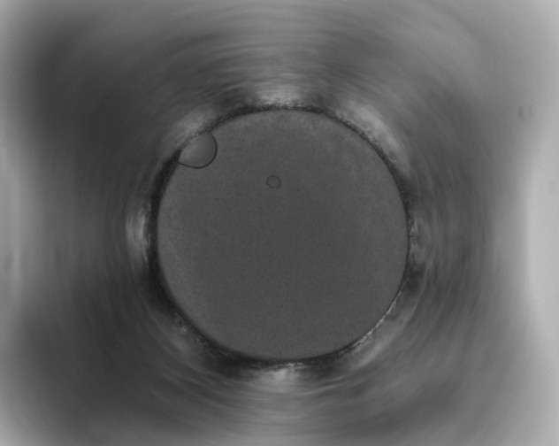 X0000093450116200710261109