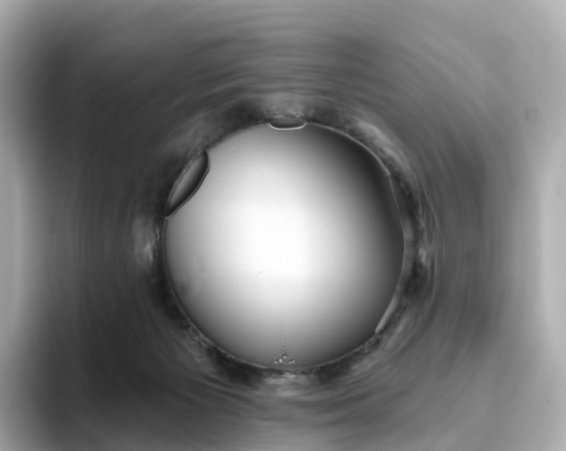 X0000093450125200710261109