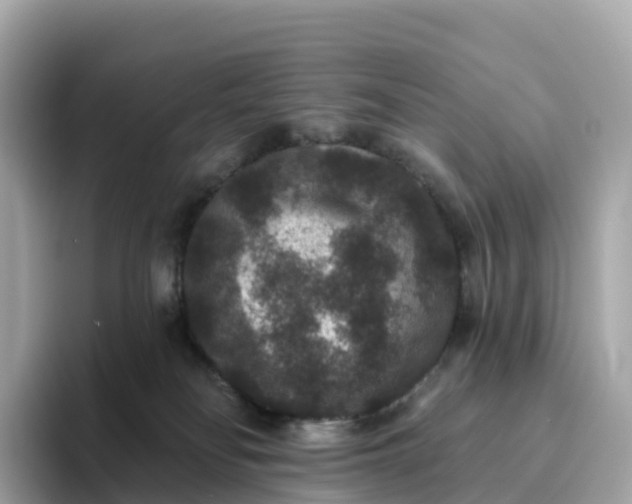 X0000093450134200710261109