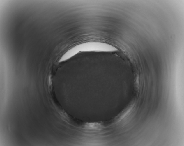 X0000093450137200710261109