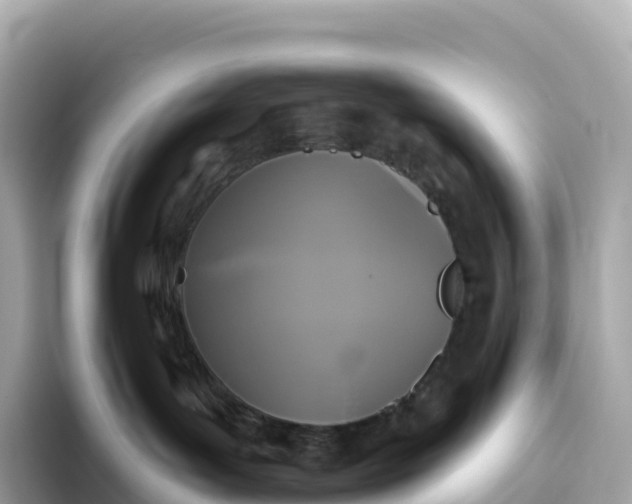 X0000093450143200710261109