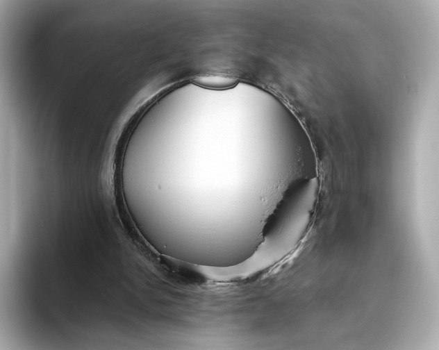 X0000093450150200710261108