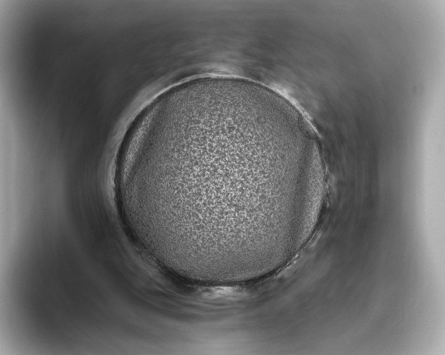 X0000093450151200710261108