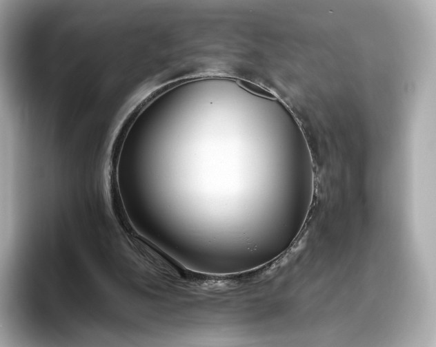 X0000093450152200710261108