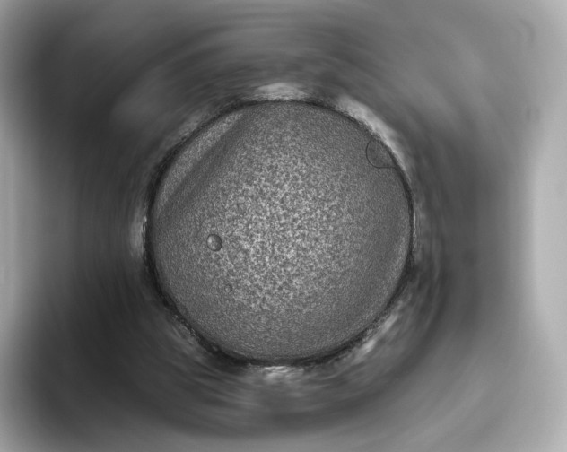 X0000093450153200710261108