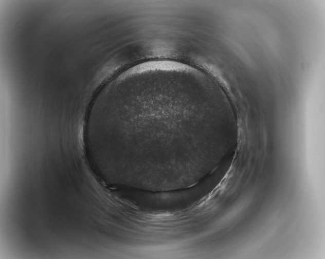 X0000093450154200710261108