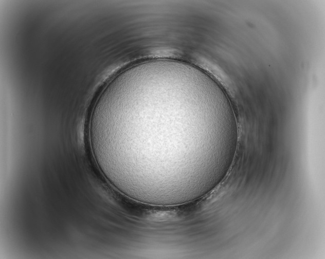 X0000093450155200710261108