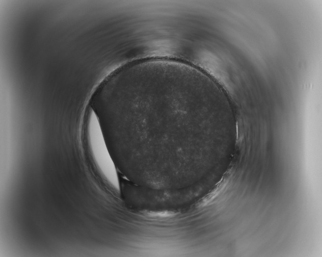 X0000093450156200710261108