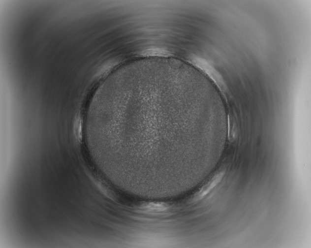 X0000093450157200710261108