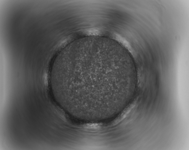 X0000093450161200710261108