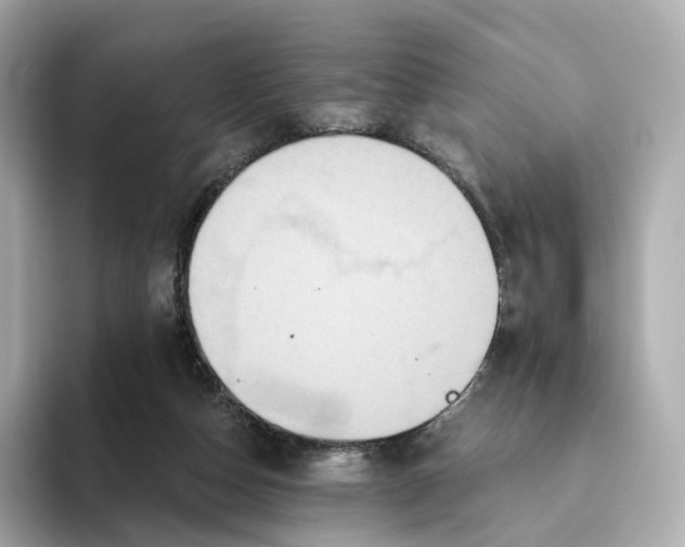 X0000093450162200710261108