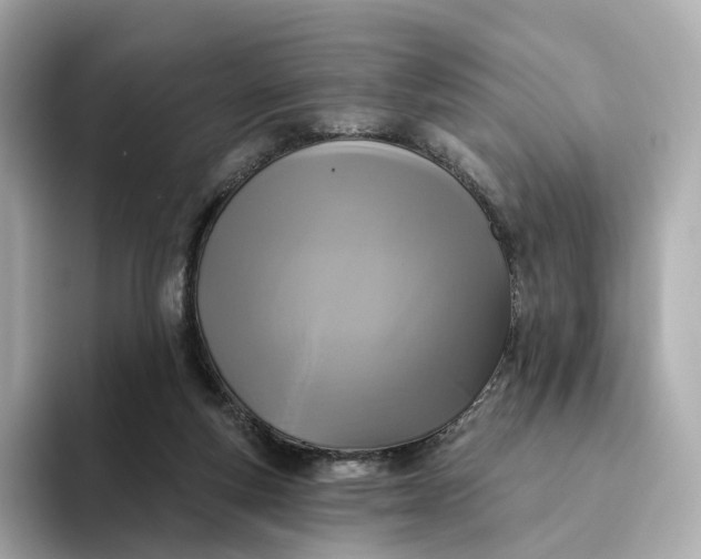 X0000093450163200710261108