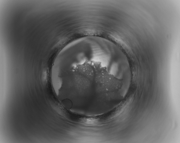 X0000093450165200710261108