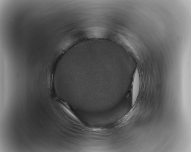 X0000093450168200710261108