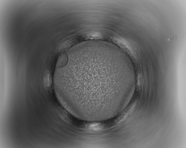 X0000093450173200710261108