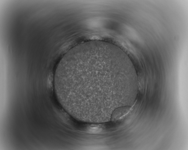 X0000093450175200710261108